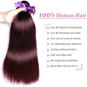 Brazilian Straight Hair Colored Burgundy Bundles With Closure 99J Red 3 Bundles With Closure Human Hair Bundle Remy Shining Star